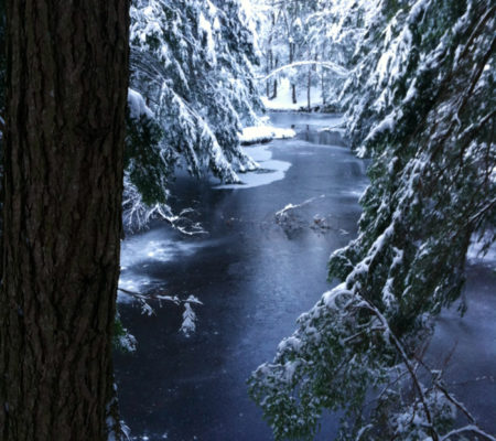 snowshoeing near Montsweag Brook Wiscasset