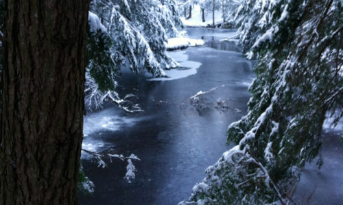 snowshoeing near Montsweag Brook Wiscasset