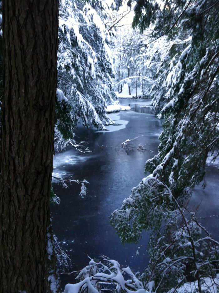 snowshoeing near Montsweag Brook Wiscasset