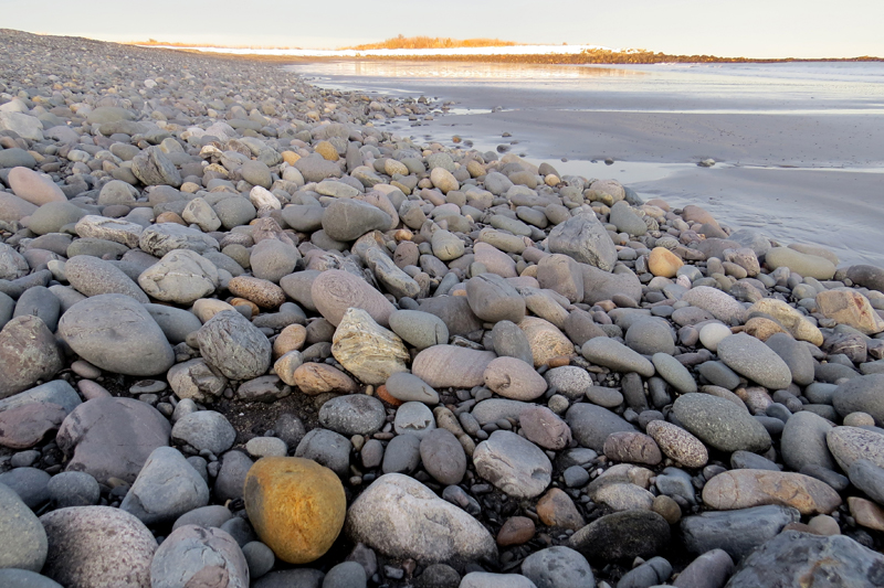 Winter on Seapoint Beach Kittery Betty Olivolo