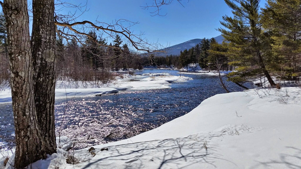 The East Branch of the Penobscot River as seen on our cross-country ski trip with NRCM on February 28, 2015.