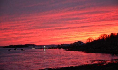 Potts Harbor by Melinda Small