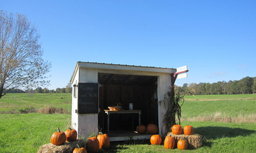 Hallelujah Farm photo courtesy of Androscoggin Land Trust