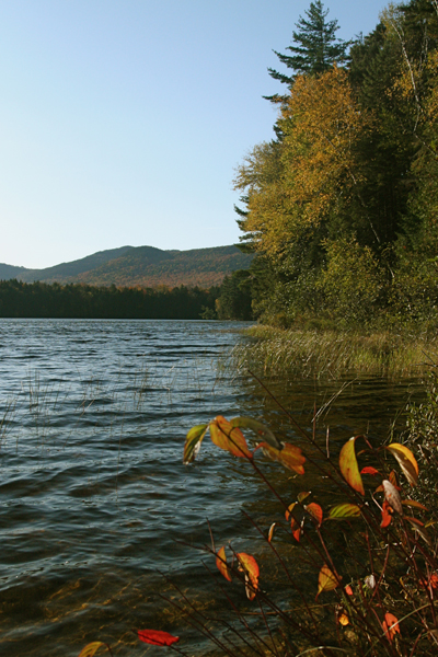 Escape to Serenity: Your Guide to Maine Chain of Ponds Public Reserved Lands