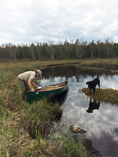 Canaan Bog by Susan MacKenzie
