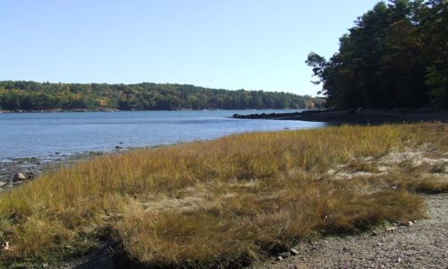 Dodge Point by Allison Wells