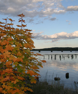 Sheepscot River