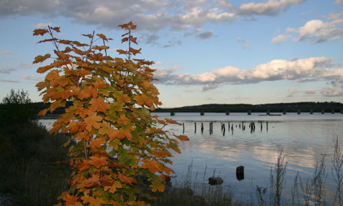 Sheepscot River