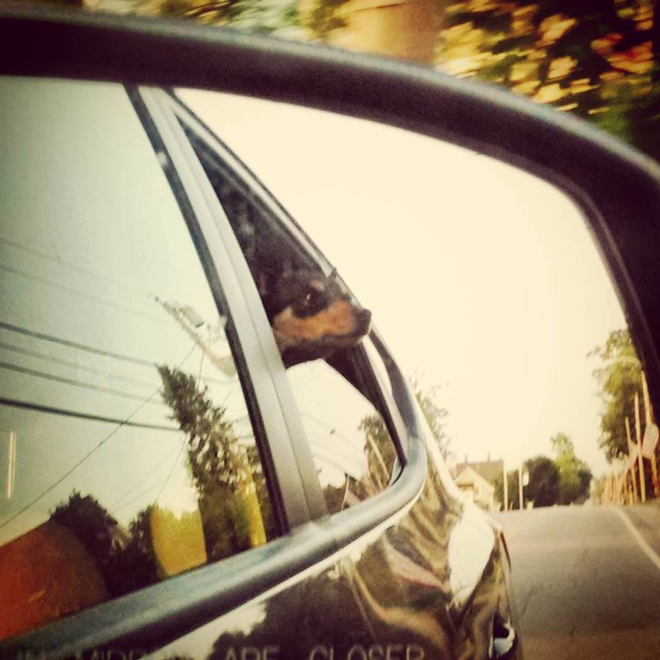 Maggie enjoying a ride