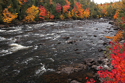 Dead River by Jym St. Pierre