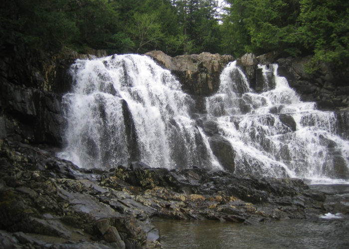 Houston Brook Falls in Pleasant Ridge Plantation