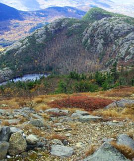 November Tumbledown Pond by Linda Woods public reserved land