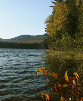 chain of ponds public reserved land