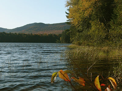 chain of ponds public reserved land