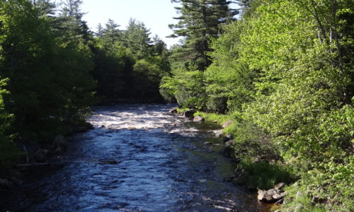 machias river airline road public reserved land