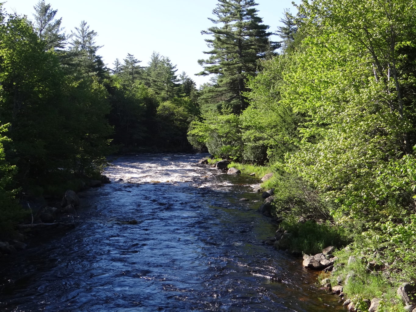 Machias River Corridor Public Reserved Land