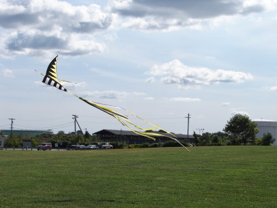 Bug Light Park in SoPo