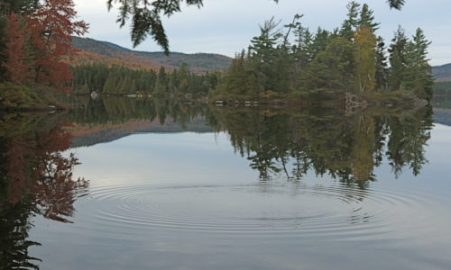 public reserved land Richardson Pond Richardson