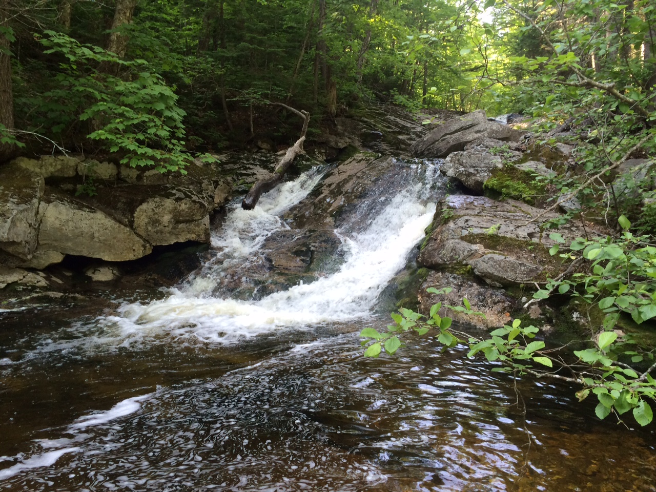 Grafton Notch State Park