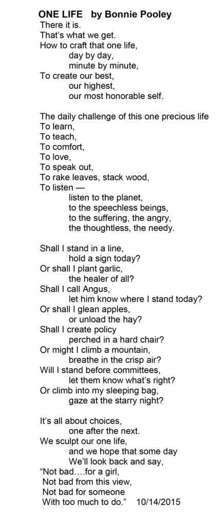 One Life - a poem by Bonnie Pooley
