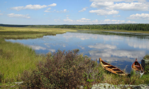 West Shirley Bog