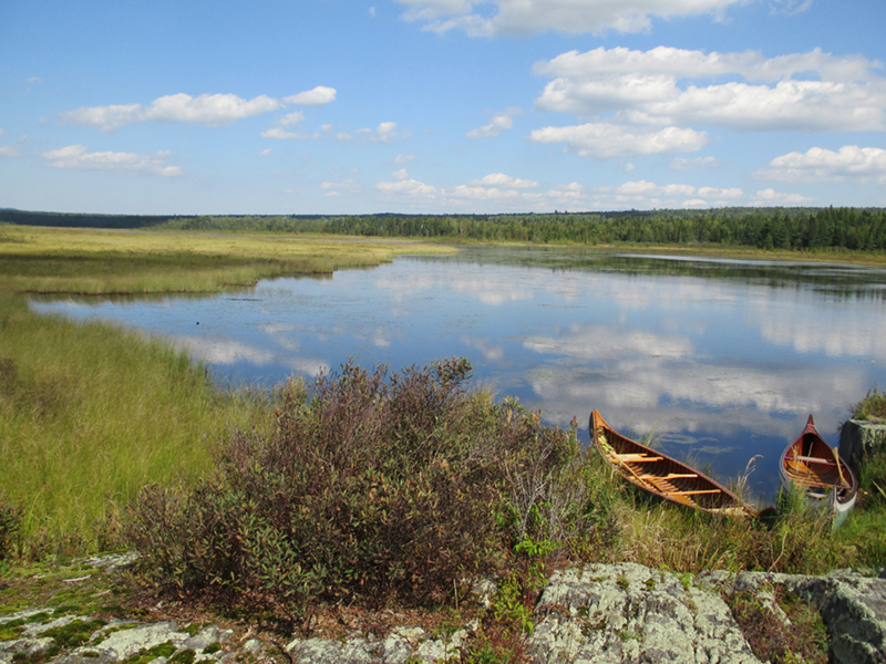 West Shirley Bog by Sam Horine