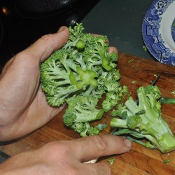 Stems from broccoli - another great chicken feed/compost material.