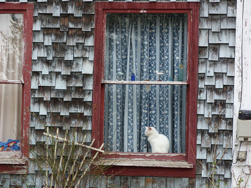 Seen on a back street in Skowhegan