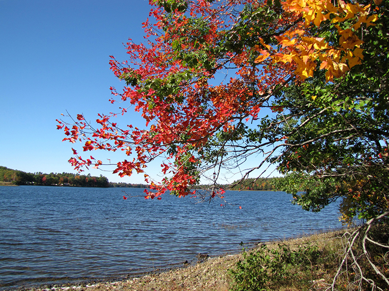 Clary Lake Jefferson