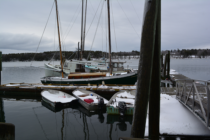 Freeport town landing Kathy Heseltine