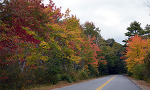 scenic roadside