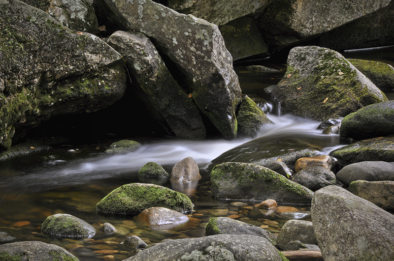 screwaugerfalls Ted Anderson