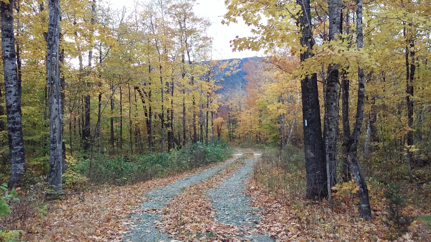 International Appalachian Trail