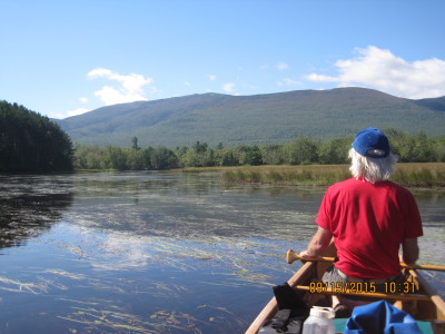 View of the Traveler Mountains from wetlands along the East Branch