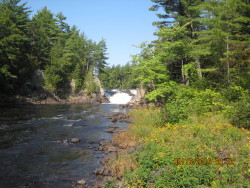 Waterfall on the East Branch