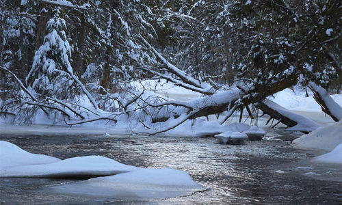 icy stream by Pam Wells