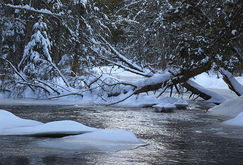 icy stream by Pam Wells