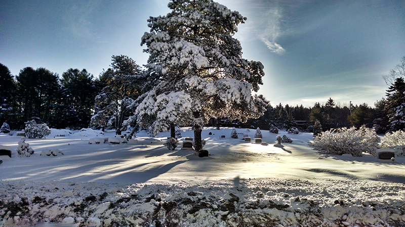 "Shadows into Light," by Melissa Yosua-Davis