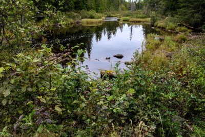 Outlet of Third Lake