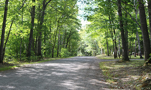 Road through Matagamon Wilderness Campground