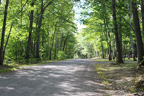 Road through Matagamon Wilderness Campground