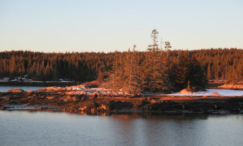 Schoodic Peninsula