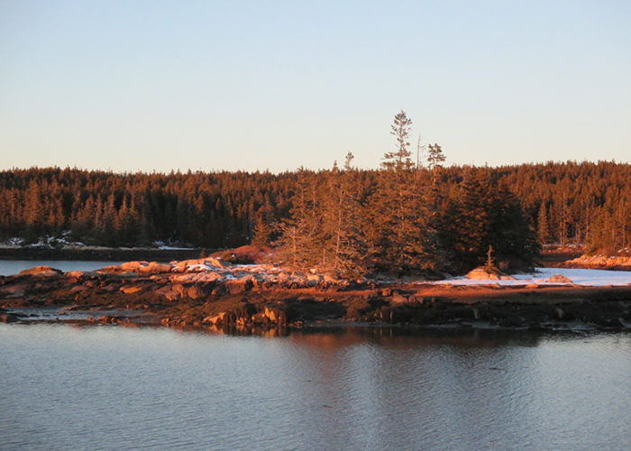 Schoodic Peninsula