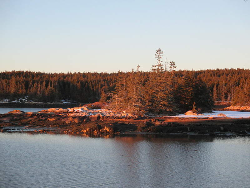 Schoodic Peninsula