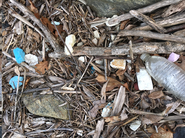 Litter in Brunswick