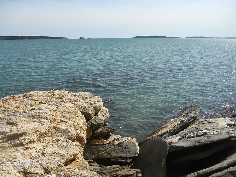 Wolfe's Neck State Park