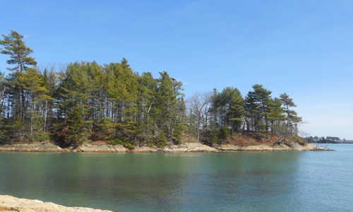 Wolfe's Neck State Park