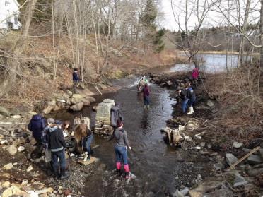 Students conducting experiments in stream