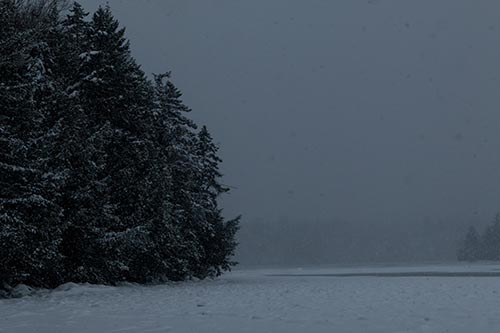 A view of the lake