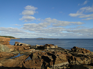 Acadia National Park by by Beth Comeau